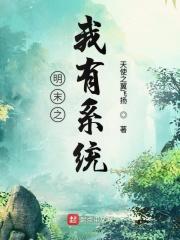 重生明末系统