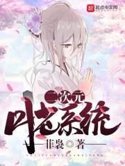 二次元系统图片大全