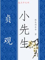 贞观小道士