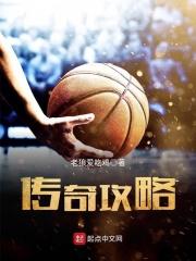 沃泽特传奇攻略
