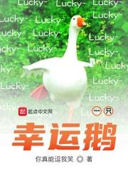 幸运鹅是什么意思