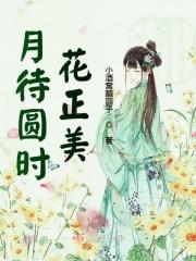 月待圆时by