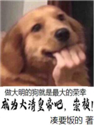清朝 崇祯