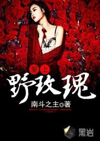爱上野玫瑰张宇