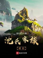 沈氏家族崛起之纵横