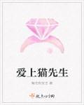 爱上喵星人在线观看