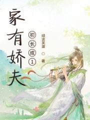 家有娇夫沈爱