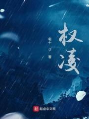 权凌电子科技大学
