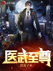 医武至尊宁天全文免费阅读