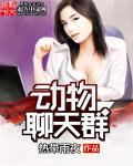 动物聊天群的
