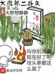 大唐二皇子是谁