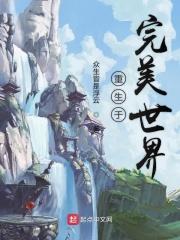重生于完美世界炼魂