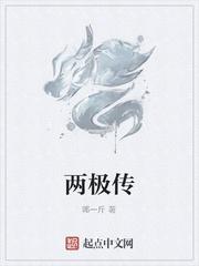 两极传播模式指的是