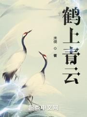青云白鹤有什么寓意