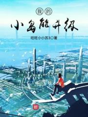 我的小岛无限版
