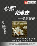 梦中花飘零