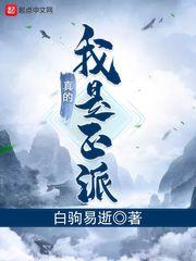 我真的是正派世界观