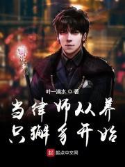从律师开始全能免费阅读