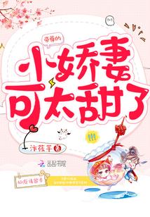 极品房客俏房东50-60集
