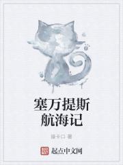 海贼王之自由天空