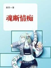 魂断情迷天网