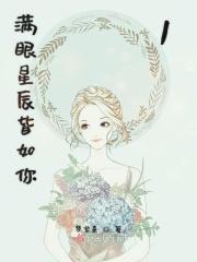 满眼星辰皆是你歌名