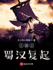 三国之蜀汉再来全文免费阅读