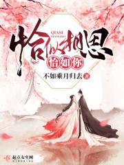 恰似相思负流年