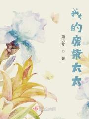 我的废柴王爷电视剧