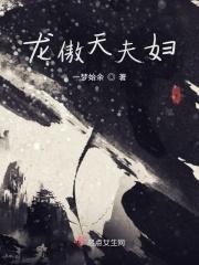 龙傲天身份