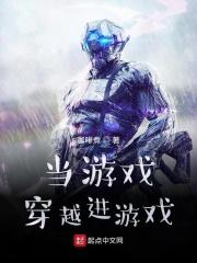 玩游戏穿越到游戏当中的