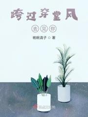 跨过飞航 穿过弄堂什么意思