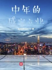 中年成就