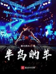 网络用语半岛什么意思