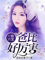 陶宝司冥寒简介