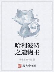 哈利波特之救世主