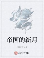 新的帝国时代