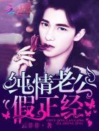 纯情老公小萌妻免费阅读全文红泥小火炉