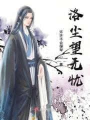 洛尘洛无极