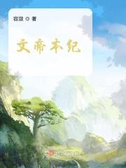 文帝本纪女尊讲了什么