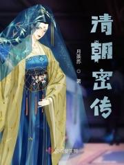 清朝秘案