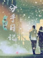 分手日记
