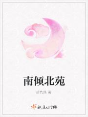 南倾是女主的