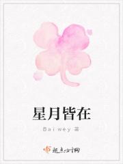 星光月夜皆归你什么意思