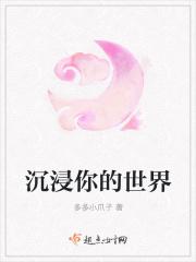 被沉浸的世界