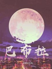 巴布拉多