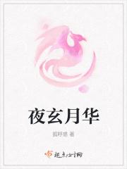 免费阅读主人公夜玄