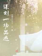 出谋划策的人指什么