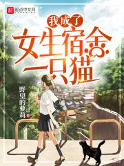 我成了女生宿舍一只猫 断更