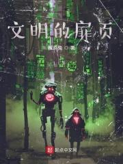 文明的碎片简介